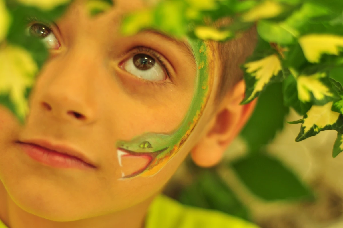 A green snake painted on a child’s cheek